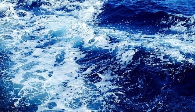 UE ora membro della North Pacific Fisheries Commission (NPFC)