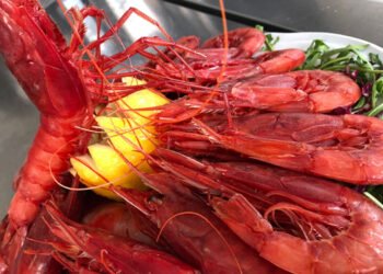 Al Seafood Expo il talk EUMOFA su impatto pandemia sul settore ittico