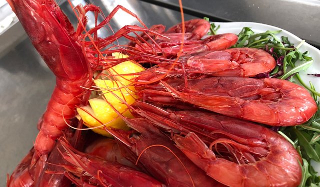 Al Seafood Expo il talk EUMOFA su impatto pandemia sul settore ittico