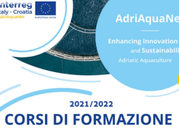 Appuntamento con gli eventi di formazione Adriaquanet