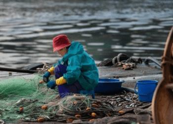 Biondo, Federpesca: finalmente riconoscimento coadiuvante impresa familiare ittica