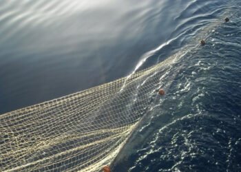 Il 10 giugno l'evento sulla Politica Comune della Pesca