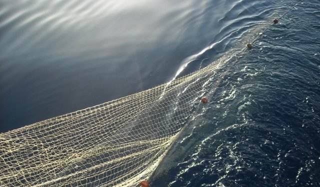 Il 10 giugno l'evento sulla Politica Comune della Pesca