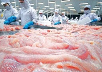 In aumento delle esportazioni vietnamite di prodotti ittici