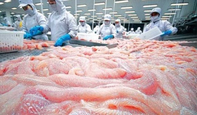 In aumento delle esportazioni vietnamite di prodotti ittici