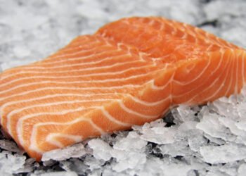 In crescita l'acquacoltura islandese