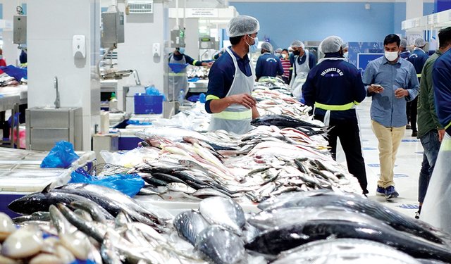 Penisola arabica: entro il 2042 centro mondiale per l'acquacoltura