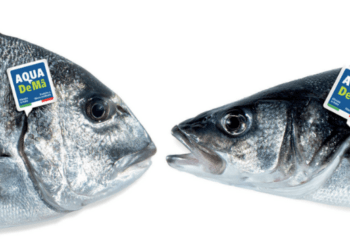 I prodotti di Aqua De Mâ scelti da oltre 100 gruppi di acquisto solidali e botteghe sostenibili