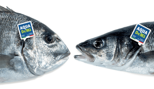 I prodotti di Aqua De Mâ scelti da oltre 100 gruppi di acquisto solidali e botteghe sostenibili