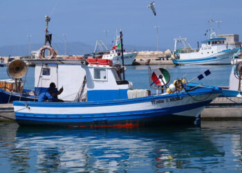 Viviani, Orlando convochi tavolo concertazione Cisoa
