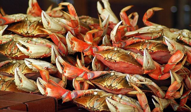 La Corea del Sud nuova grande importatrice di granchio russo