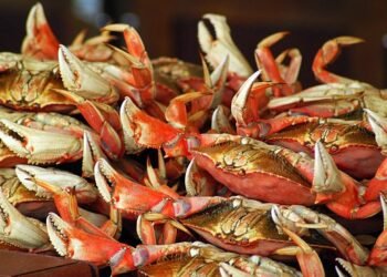 La Corea del Sud nuova grande importatrice di granchio russo