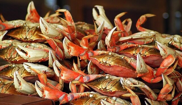 La Corea del Sud nuova grande importatrice di granchio russo