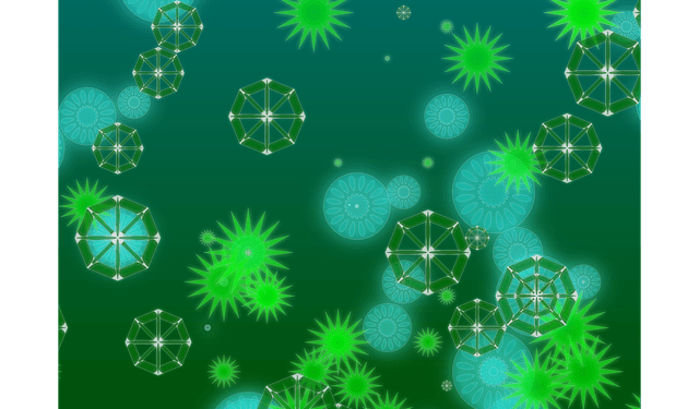 Diatomee, alghe verdi dal grande potenziale sostenibile