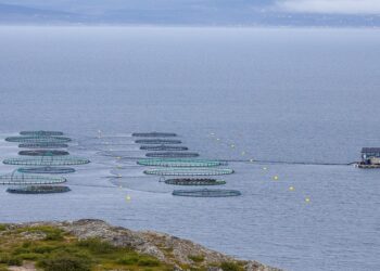 Economia Circolare in Acquacoltura