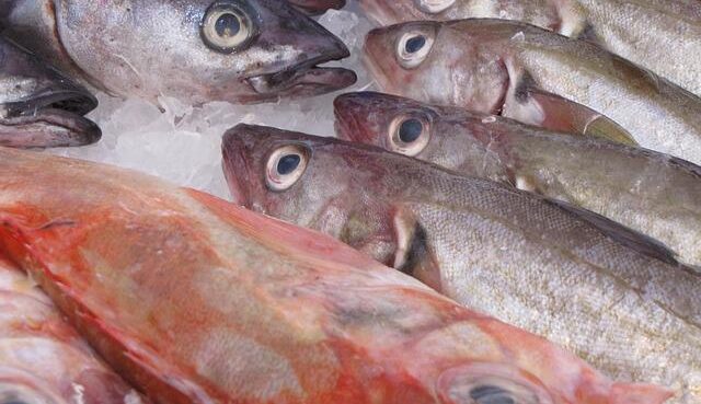 Fuori la newsletter trimestrale di BMTI sul mercato ittico italiano