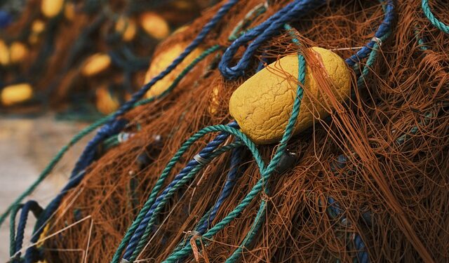 Tra mari e riserve: percorso di supporto consulenziale di Flag Trapanese e CCIAA