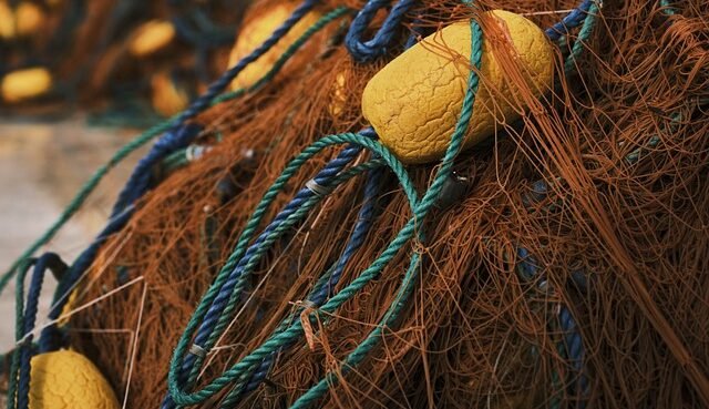 Tra mari e riserve: percorso di supporto consulenziale di Flag Trapanese e CCIAA