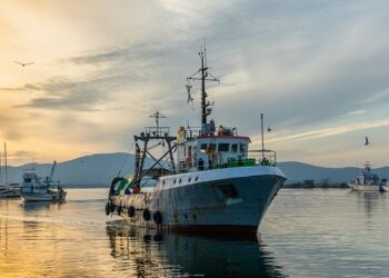 Pesca, Lega: accordi Brexit hanno penalizzato nostre marinerie