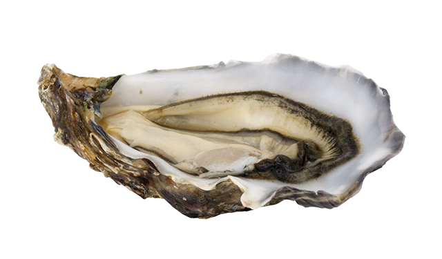 5 maggio: Giornata Internazionale delle Ostriche