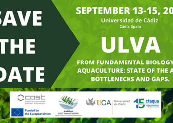 Cadice sarà la capitale europea della ricerca sulle macroalghe