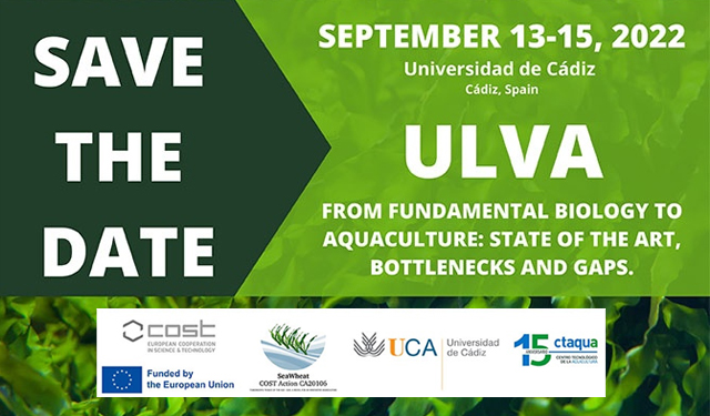 Cadice sarà la capitale europea della ricerca sulle macroalghe