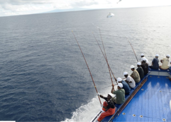 Pesca responsabile e salvaguardia degli oceani: il valore del tonno in un mare di sostenibilità