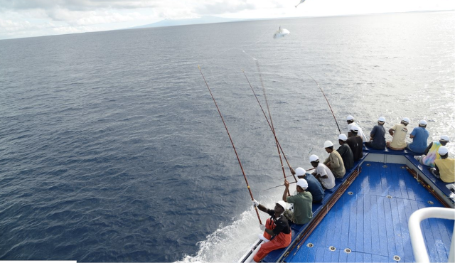 Pesca responsabile e salvaguardia degli oceani: il valore del tonno in un mare di sostenibilità