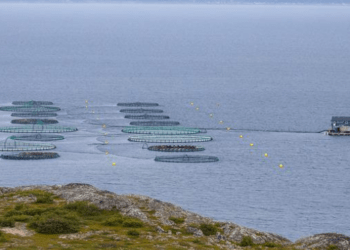 EUMOFA presenta il nuovo report "Organic Aquaculture in the EU"