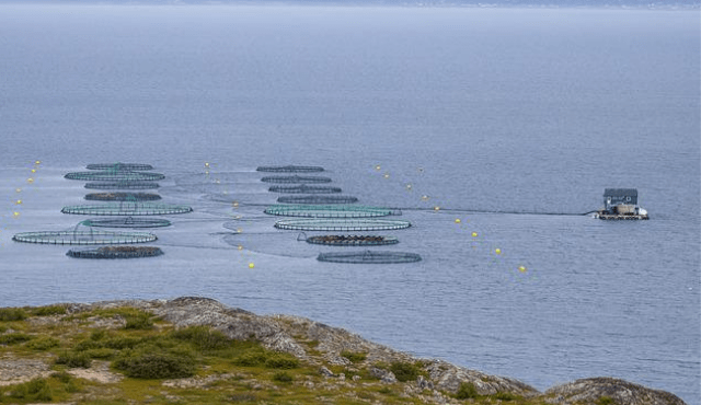 EUMOFA presenta il nuovo report "Organic Aquaculture in the EU"