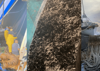 UNCI AGROALIMENTARE organizza un convegno sui piccoli pelagici in Adriatico