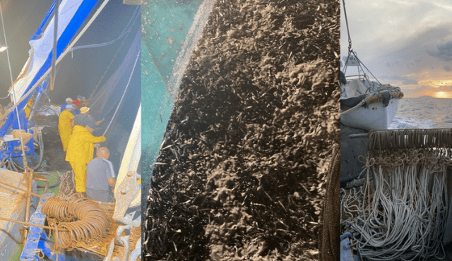 UNCI AGROALIMENTARE organizza un convegno sui piccoli pelagici in Adriatico