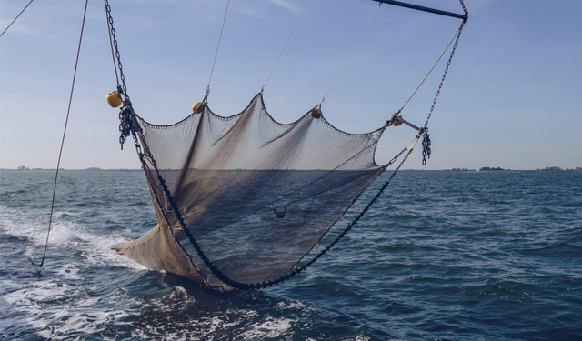 L'EBFA condanna il PE per iniziativa di vietare la pesca di fondo