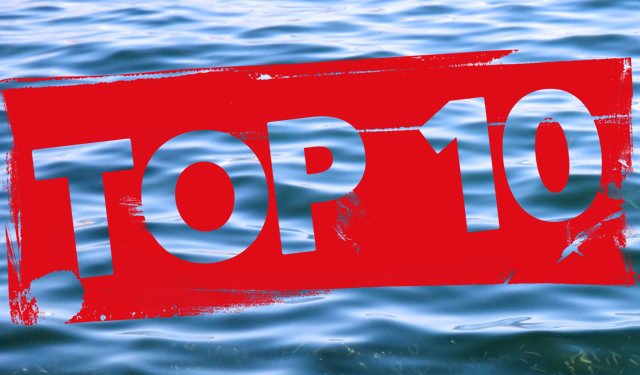 Pubblicata la top 10 dei prodotti ittici più consumati negli USA