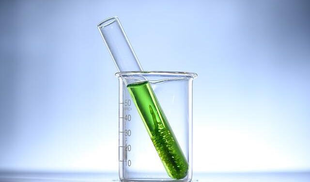 Alghe per alimentare un microprocessore: lo studio