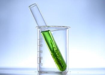 Alghe per alimentare un microprocessore: lo studio