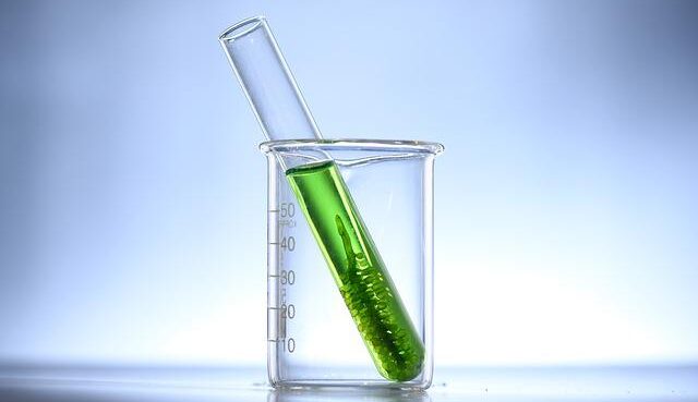 Alghe per alimentare un microprocessore: lo studio