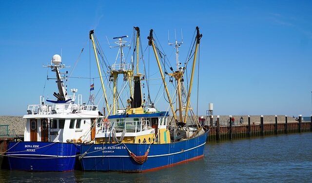 Il voto del Parlamento apre la strada alla transizione dell'UE verso una pesca a basso impatto, a basse emissioni di carbonio e socialmente responsabile