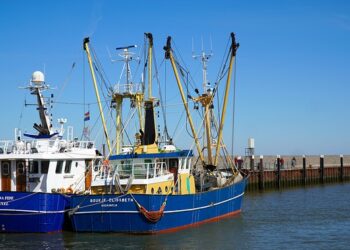 Il voto del Parlamento apre la strada alla transizione dell'UE verso una pesca a basso impatto, a basse emissioni di carbonio e socialmente responsabile