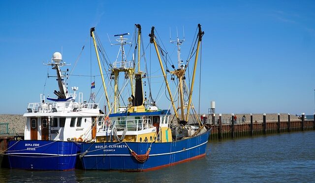 Il voto del Parlamento apre la strada alla transizione dell'UE verso una pesca a basso impatto, a basse emissioni di carbonio e socialmente responsabile