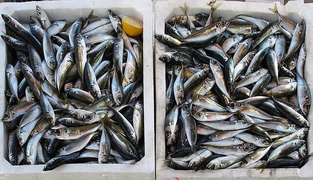 'Ndrangheta: Coldiretti, da pesce a dolci business da 24,5 mld