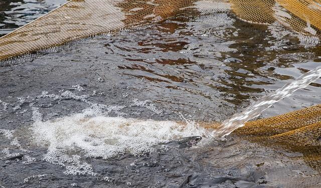 Le nuove tecnologie a sostegno di un settore sempre carico di sfide
