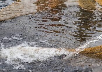 Le nuove tecnologie a sostegno di un settore sempre carico di sfide