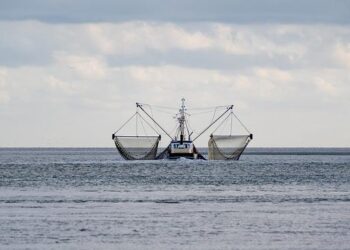 Lega: Ue apre a nostre proposte su misure di emergenza, ma nega aumento quote