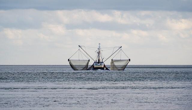 Lega: Ue apre a nostre proposte su misure di emergenza, ma nega aumento quote