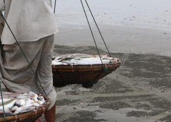Pesca e acquacoltura in Bangladesh