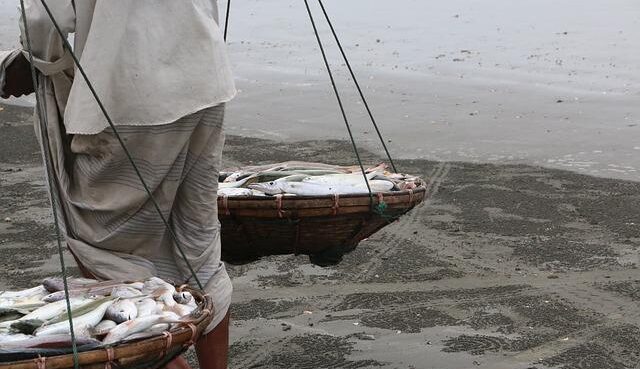 Pesca e acquacoltura in Bangladesh