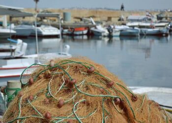 Crisi energetica: Alleanza Cooperative Pesca in pressing su Italia e Ue per credito di imposta e fermo volontario