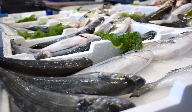 Etichettatura errata dei prodotti ittici: il caso di Singapore