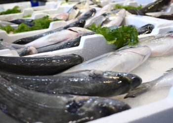 Etichettatura errata dei prodotti ittici: il caso di Singapore